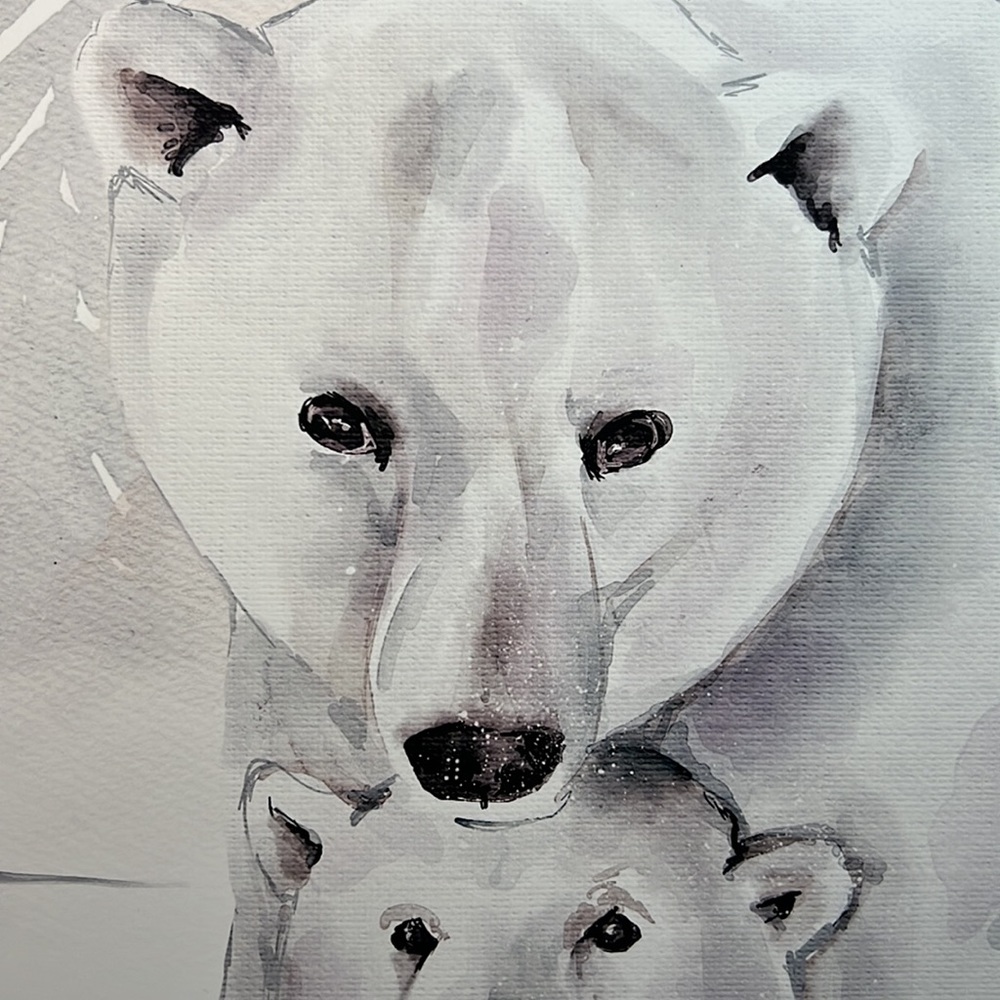 Watercolor Polar Bears Wall Art Illustration Print Poster Card Unframed - Picture 16 of 17